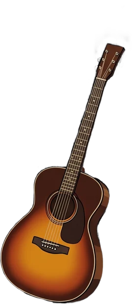 Acoustic guitar